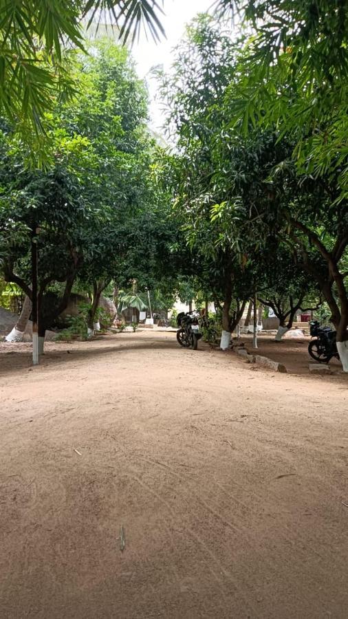 Shankar Homestay Hampi Buitenkant foto