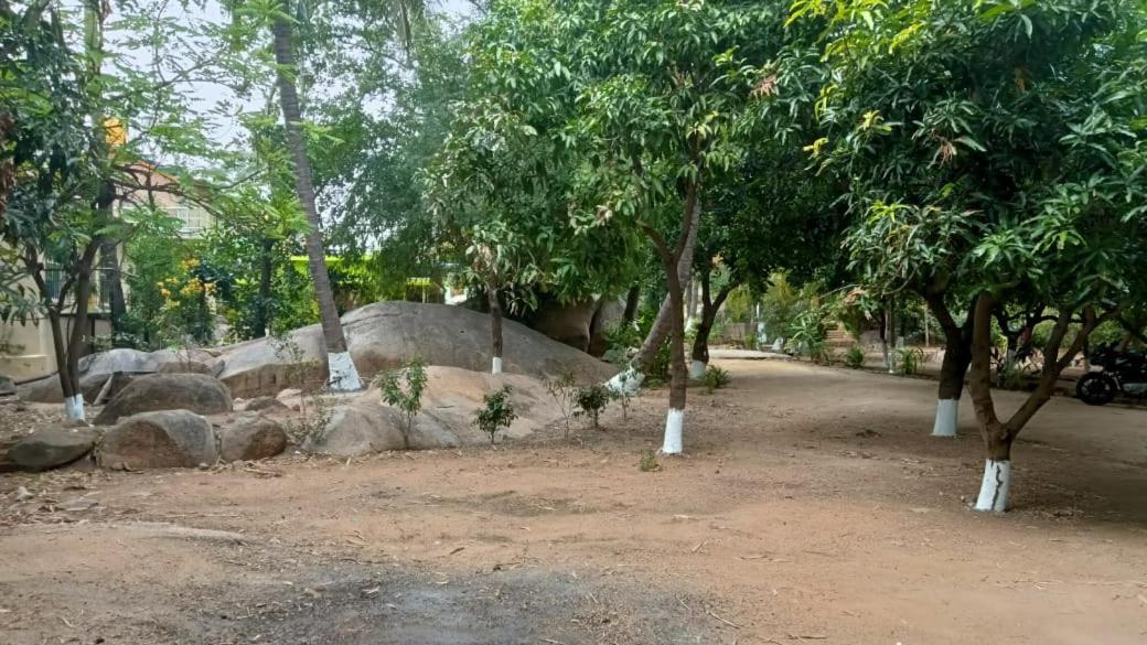 Shankar Homestay Hampi Buitenkant foto